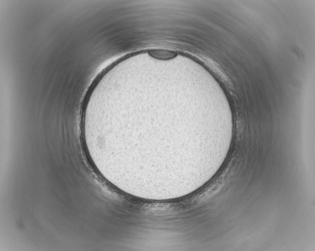 X0000115280846200911272005