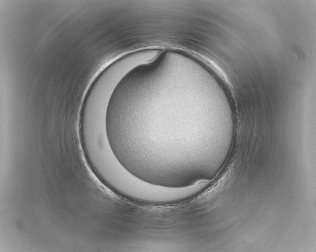 X0000115280847200911272005