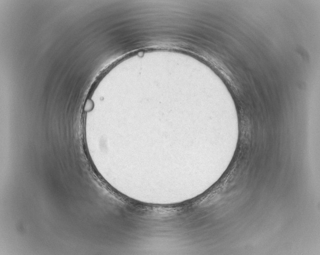 X0000115280848200911272005