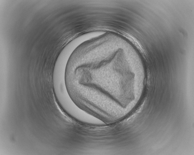 X0000115280849200911272005