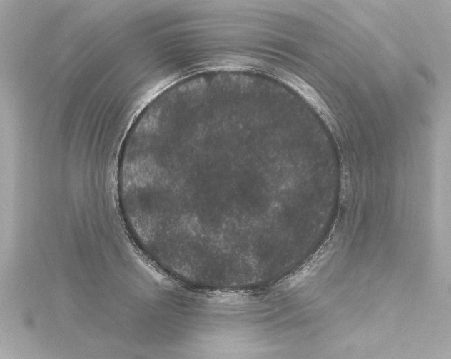 X0000115280850200911272005