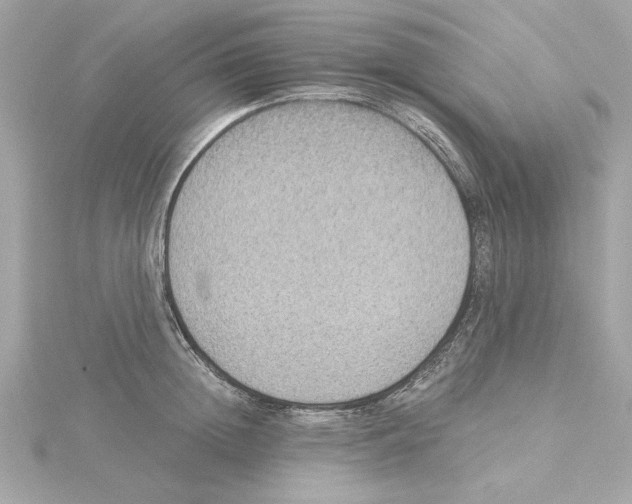 X0000115280852200911272005