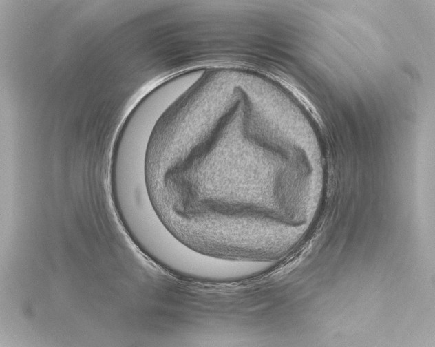 X0000115280853200911272005