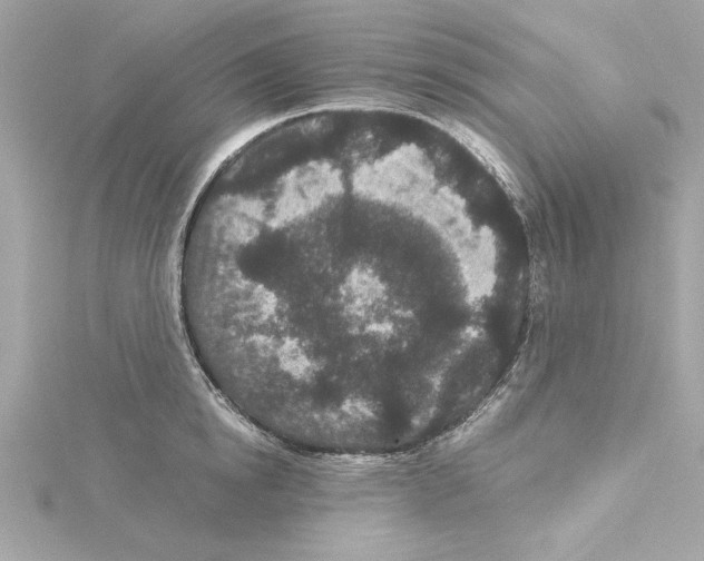 X0000115280854200911272005