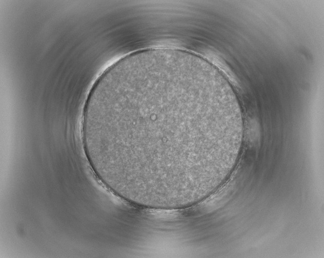 X0000115280856200911272005