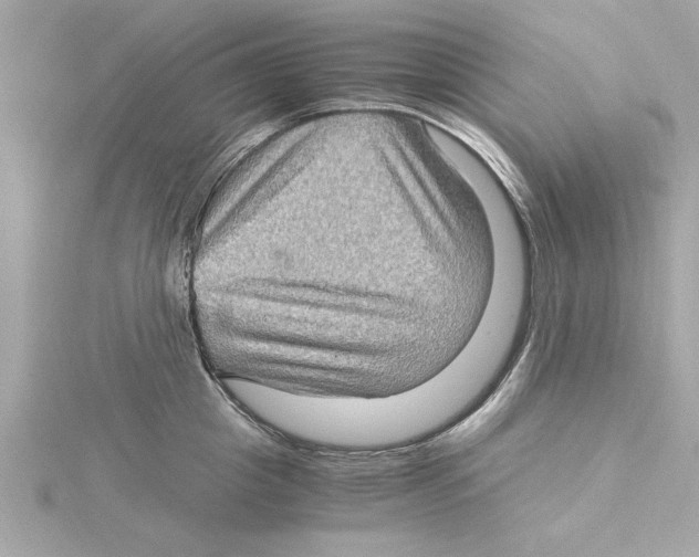 X0000115280857200911272005