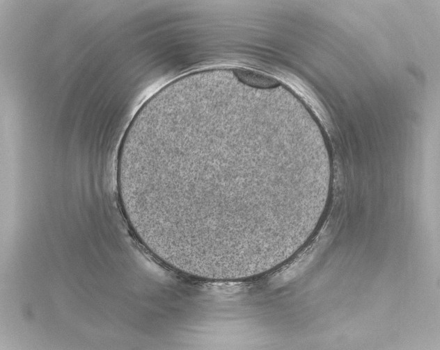 X0000115280858200911272005