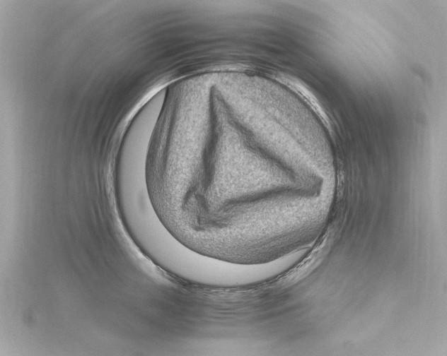 X0000115280859200911272005