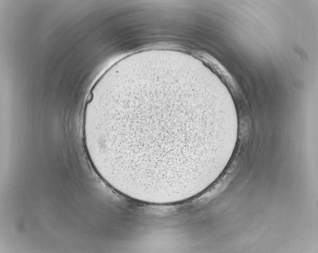 X0000115280860200911272005