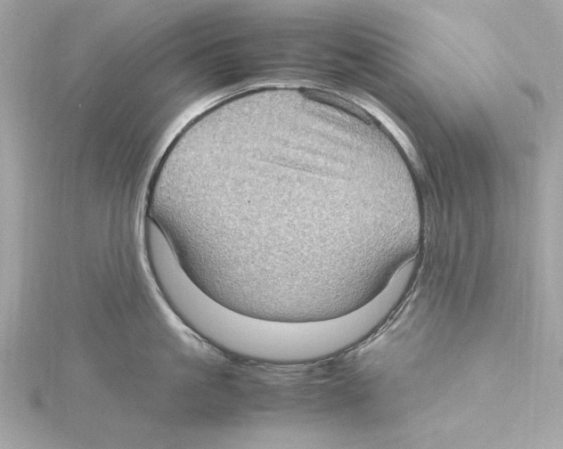 X0000115280861200911272005