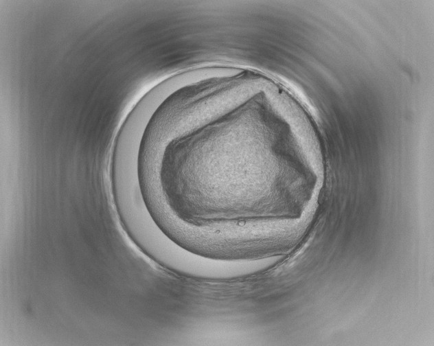 X0000115280863200911272005