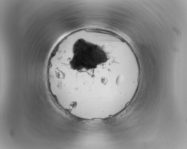 X0000115280864200911272005