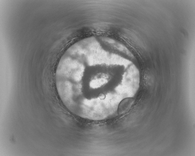 X0000115280865200911272005