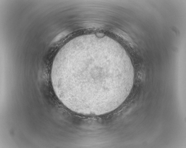 X0000115280869200911272004