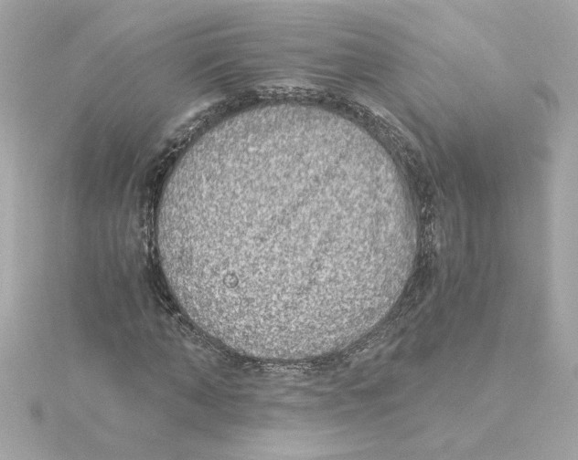 X0000115280870200911272004