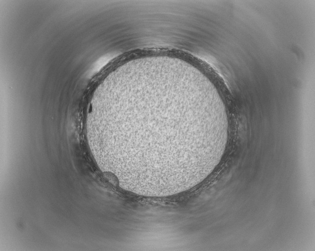 X0000115280871200911272004