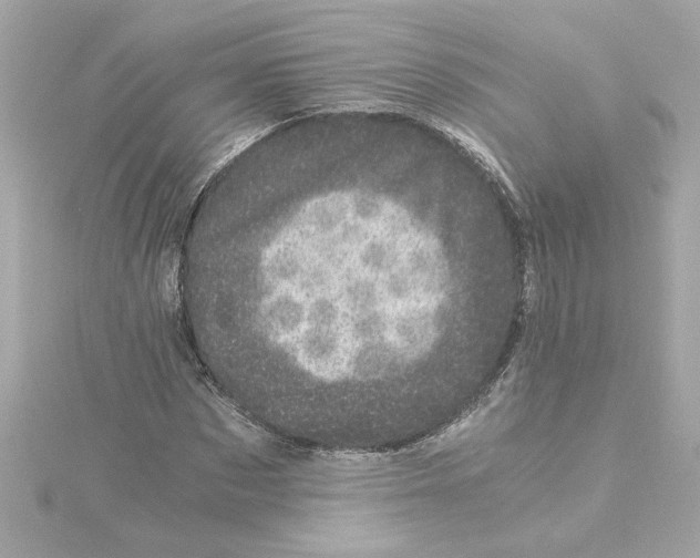 X0000115280873200911272004