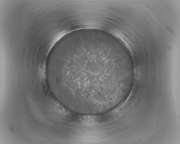 X0000115280875200911272004