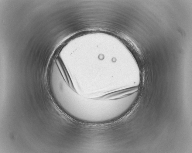 X0000115280876200911272004