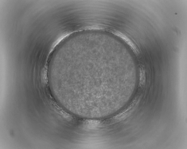 X0000115280878200911272004