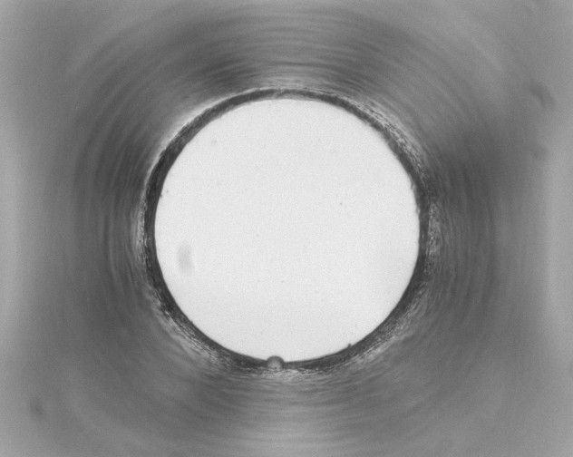 X0000115280880200911272004