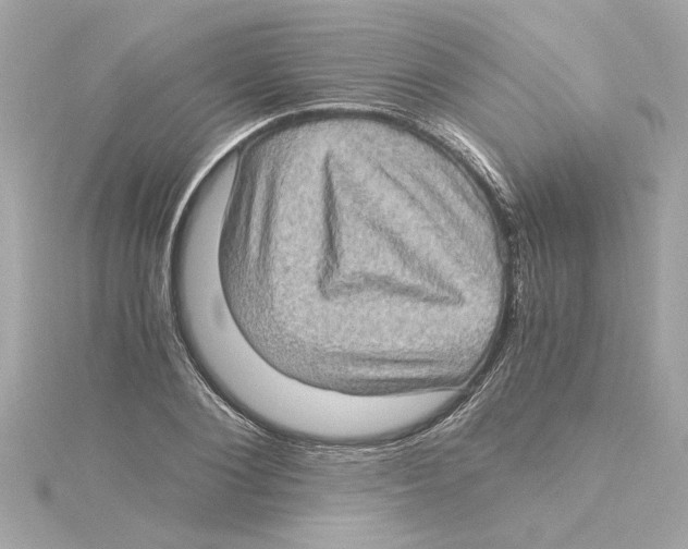 X0000115280884200911272004