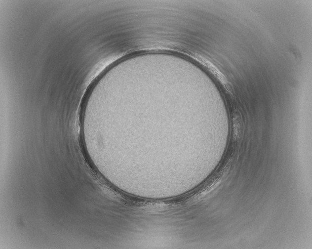 X0000115280885200911272004