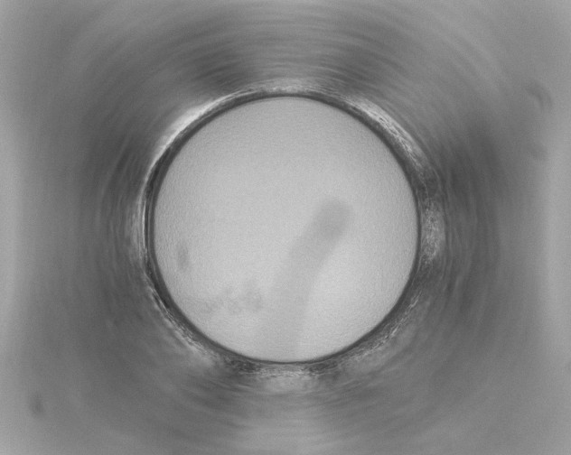 X0000115280886200911272004