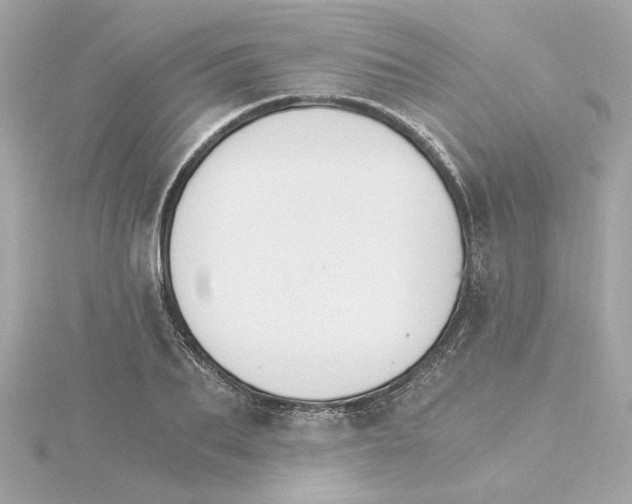 X0000115280887200911272004