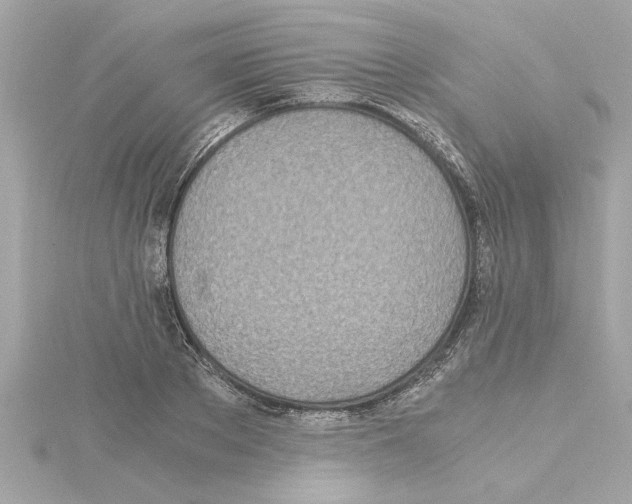 X0000115280889200911272004