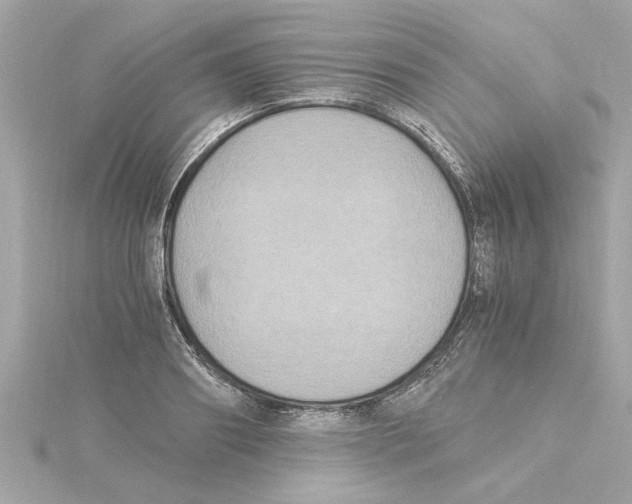 X0000115280890200911272004