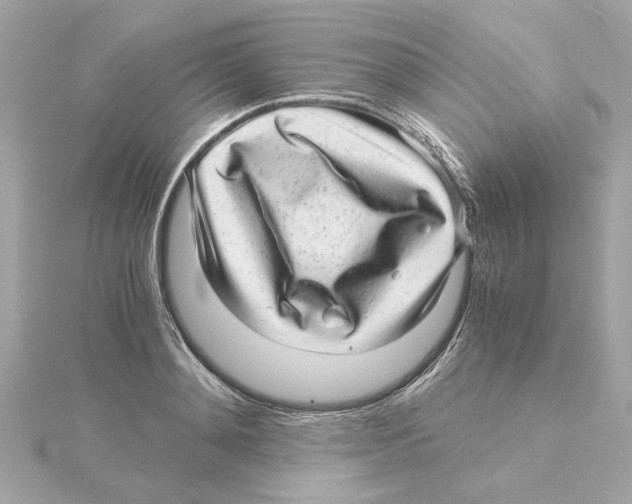 X0000115280892200911272004