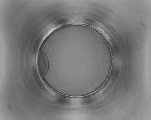 X0000115280893200911272004