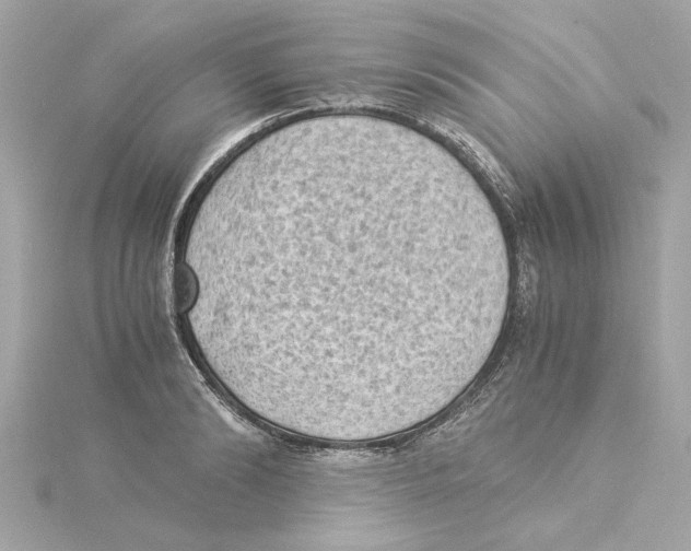 X0000115280894200911272004