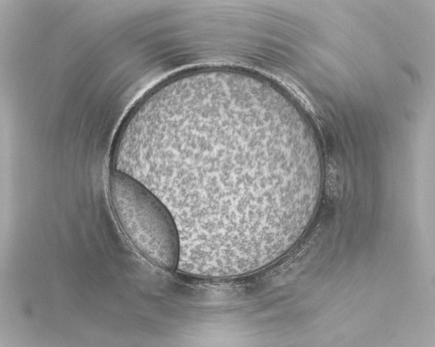 X0000115280895200911272004