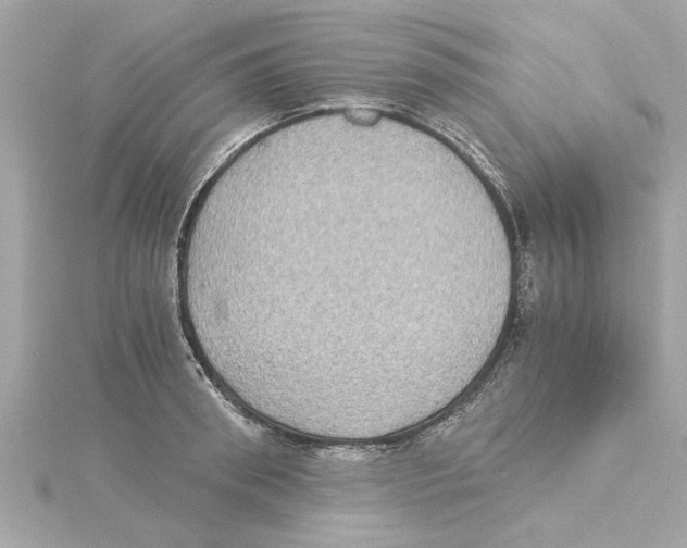 X0000115280898200911272004