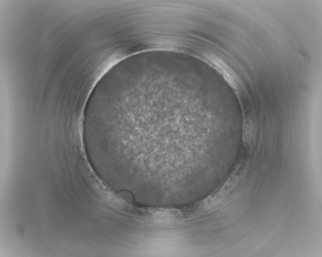 X0000115280899200911272004