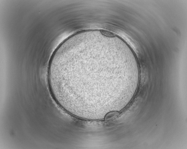 X0000115280901200911272004