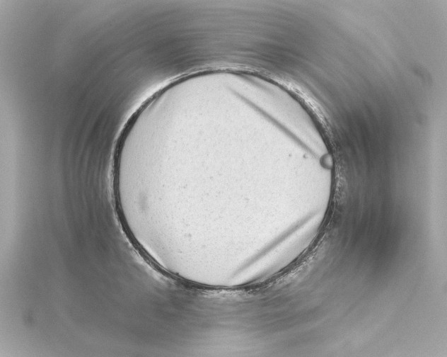 X0000115280902200911272004