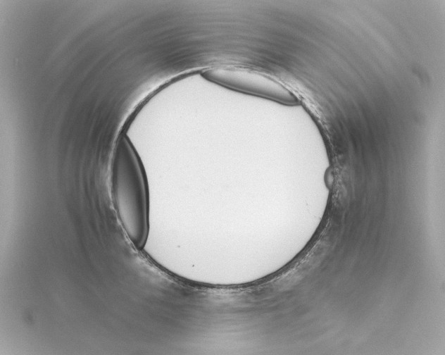 X0000115280904200911272004