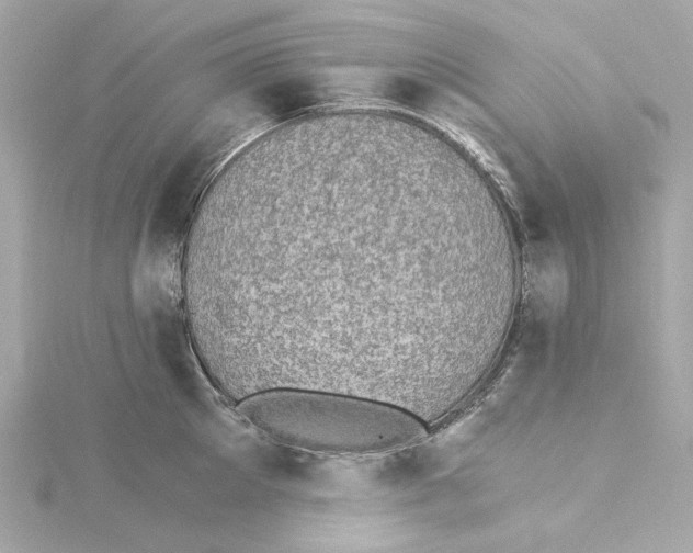 X0000115280905200911272004