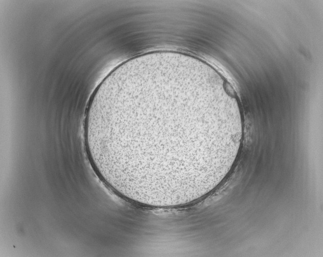 X0000115280906200911272004