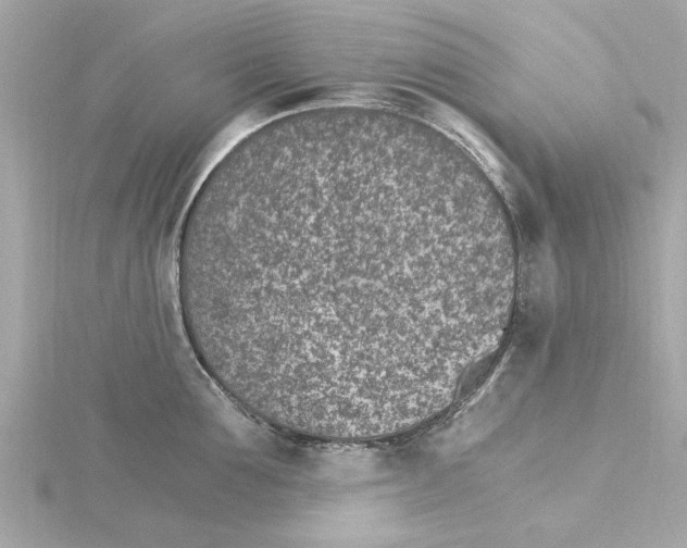 X0000115280907200911272004