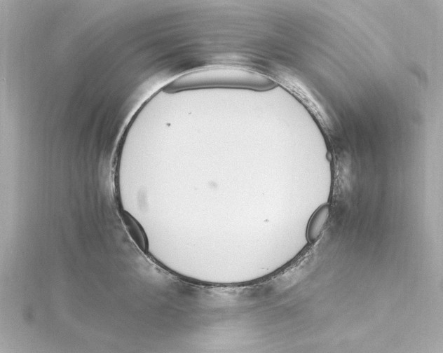 X0000115280908200911272004