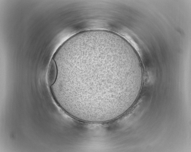 X0000115280909200911272004