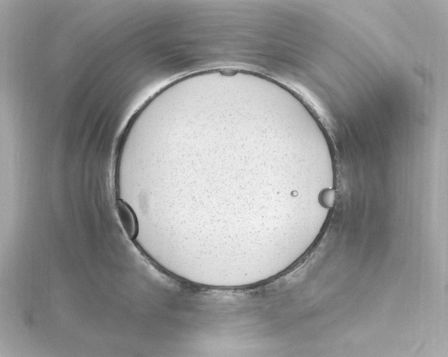 X0000115280910200911272004