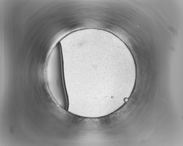 X0000115280912200911272004