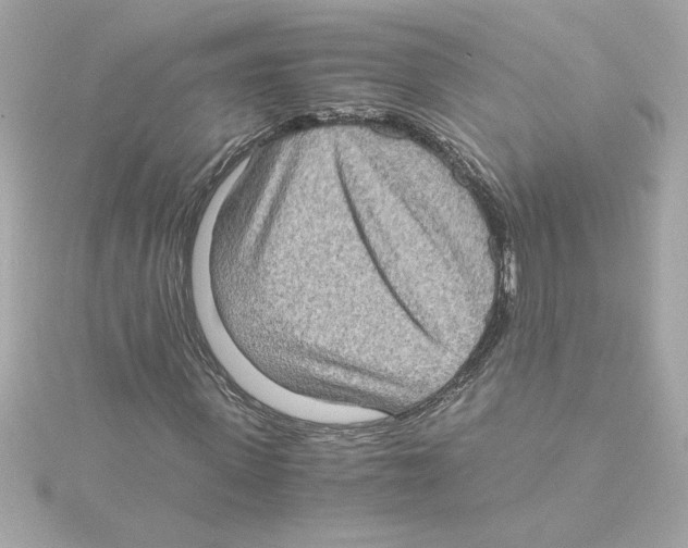 X0000115280915200911272003