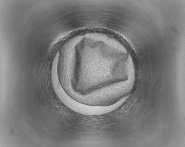 X0000115280919200911272003