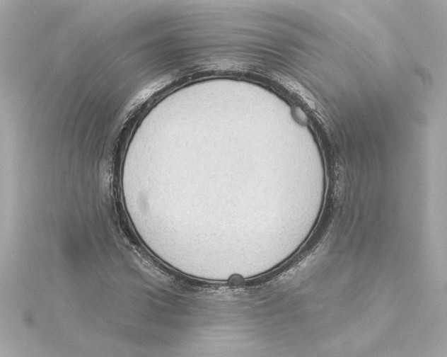 X0000115280922200911272003